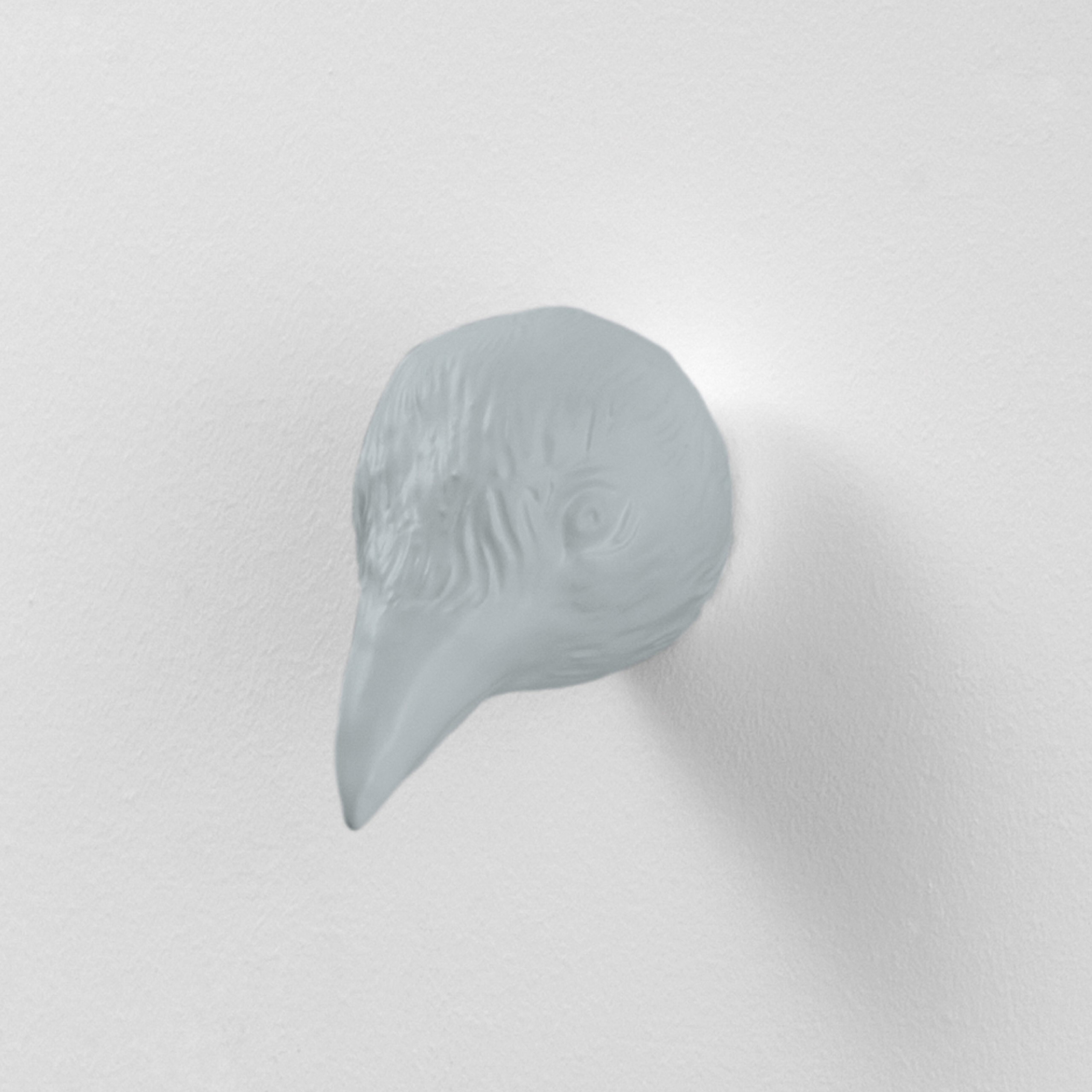 Birdy